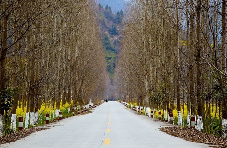 平武县土城乡至泗洱乡通乡公路灾后新建工程一期工程